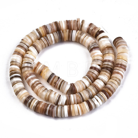 Natural Freshwater Shell Beads Strands SHEL-N003A-02-1