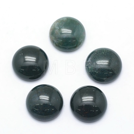 Natural Moss Agate Cabochons G-P393-R28-12mm-1