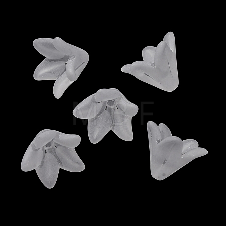 Frosted Acrylic Bead Caps AC-CBA1E6C-04-1