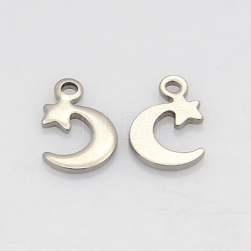 304 Stainless Steel Moon and Star Charms STAS-N025-08-1