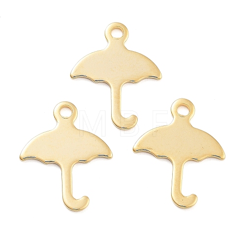 201 Stainless Steel Charms STAS-U012-02G-1