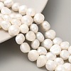 Natural Cultured Freshwater Pearl Beads Strands PEAR-A006-09A-2