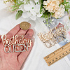 2Pcs Birthday Queen Rhinestone Pins JEWB-SP0001-11G-3