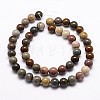 Natural New Ocean Jasper Bead Strands G-G954-01-8mm-4