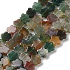 Natural Indian Agate Beads Strands G-B138-C04-01-2