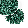 Baking Paint Pearlized Glass Seed Beads SEED-T007-21A-15-3