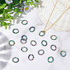 25Pcs Natural Abalone Shell/Paua Shell Cabochons SHEL-WR0001-01-4