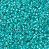 TOHO Round Seed Beads SEED-TR11-PF2104-2