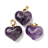 Natural Amethyst Pendants G-B188-04G-02-1