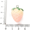 Fruit Opaque Resin Imitation Food Pendants RE-CBA18E8-01P-01-3