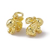Rack Plating Brass Charms X-KK-C007-17G-2