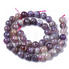 Natural Purple Red Tourmaline  Beads Strands G-N327-02A-01-3