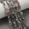Natural Labradorite Nuggets Beads Strands X-G-J335-40-1