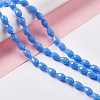 Faceted Glass Beads Strands GLAA-E037-01D-4