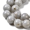 Natural Gemstone Beads Strands G-L641-A01-05-4