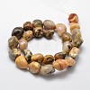 Natural Crazy Agate Nuggets Bead Strands G-L288-12-2