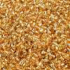 TOHO 11/0 Round Beads X-SEED-TR11-0022-2
