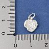 S925 Sterling Silver Pendant STER-H115-08C-S-3