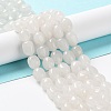 Natural White Jade Beads Strands G-E614-B01-08-1