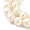 Shell Pearl Beads Strands BSHE-XCP0001-33-3