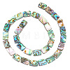 1 Strand Natural Abalone Shell/Paua Shell Beads Strands BSHE-BC0001-12-1