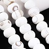 Dyed Natural Agate Beads Strands G-T144-26A-1
