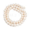 Natural Cultured Freshwater Pearl Beads Strands PEAR-I007-07J-09A-3