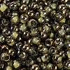 Glass Seed Beads SEED-A032-06I-3