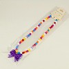 Fashion Acrylic Necklaces for Kids NJEW-JN00330-4