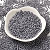 Baking Paint Glass Seed Beads SEED-P006-03A-27-2