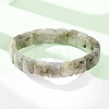 Natural Labradorite Faceted Beaded Stretch Bracelets for Women BJEW-K251-08A-2