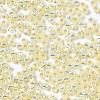 TOHO 11/0 Round Beads SEED-XTR11-2125-2