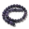 Natural Weathered Agate Beads Strands G-P538-A01-07-3