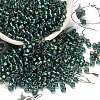 TOHO 6/0 Round Beads SEED-TR06-0270-1