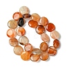 Flat Round Gemstone Natural Red Agate Stone Beads Strands X-G-S110-03-4