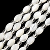 Natural Trochid Shell/Trochus Shell Beads Strands BSHE-A002-05-1