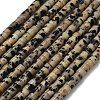 Natural Dalmatian Jasper Beads Strands G-P608-A04-01-2
