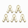 Alloy Charms PALLOY-Q441-025A-NR-1