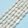 Natural Cultured Freshwater Pearl Beads Strands PEAR-J006-07A-2