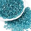 Baking Paint Transparent Glass Seed Beads SEED-N006-05K-1