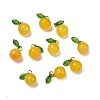 Dyed Natural Agate Orange Charms G-U025-07G-2