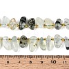 Natural Prehnite Beads Strands G-Z091-A44-5