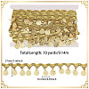 Polyester Metallic Thread & Sequins Lace Tassel Ribbon OCOR-WH0105-237A-2