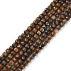 Natural Tiger Eye Beads Strands G-P500-02A-02-1