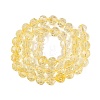 Crackle Transparent Glass Beads Strands GLAA-N068-06A-06-2