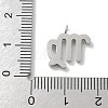 304 Stainless Steel Micro Pave Cubic Zirconia Charms STAS-Z107-09P-10-3