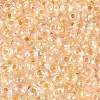 FGB Inside Colours Transparent Glass Seed Beads SEED-T009-01G-2