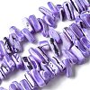 Dyed Natural Trochus Shell Beads Strands SSHEL-C013-09N-1