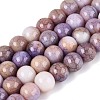 Opaque Ombre Effect Dyed Glass Beads Strands GLAA-Q106-04A-17-1