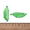 Transparent Plastic Big Pendants KY-N025-11-3